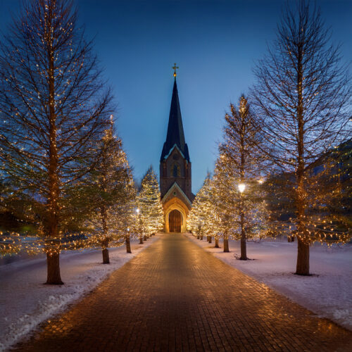 2025年12月のブレンドイメージ