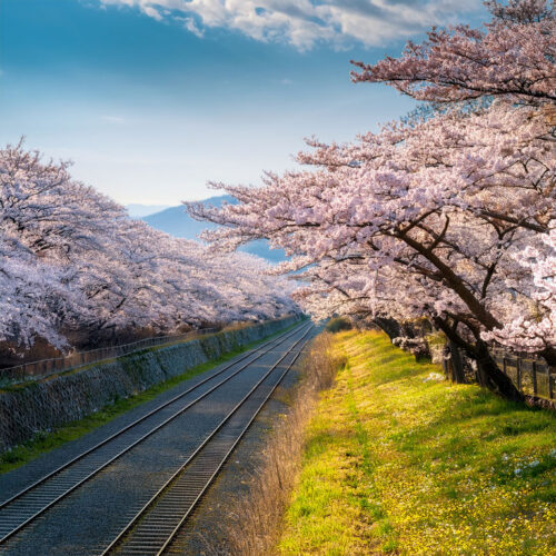 2026年4月のブレンドイメージ